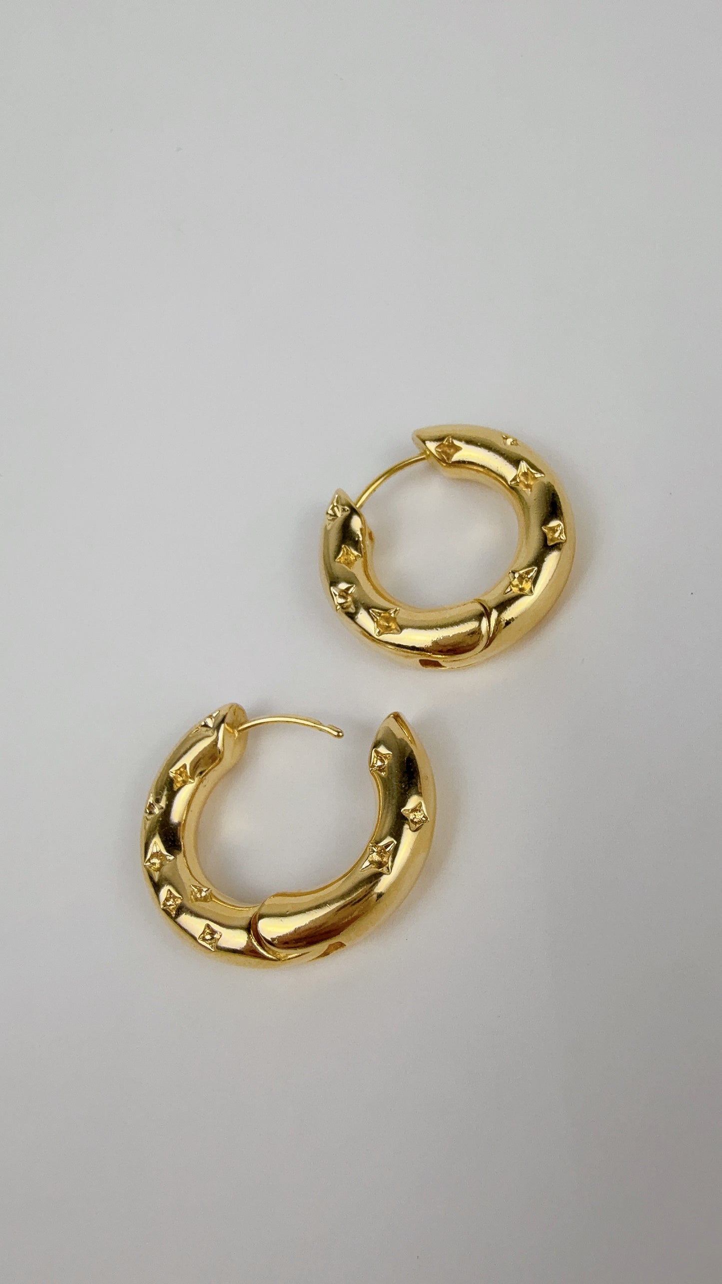 Michelle Textured Hoop Earring