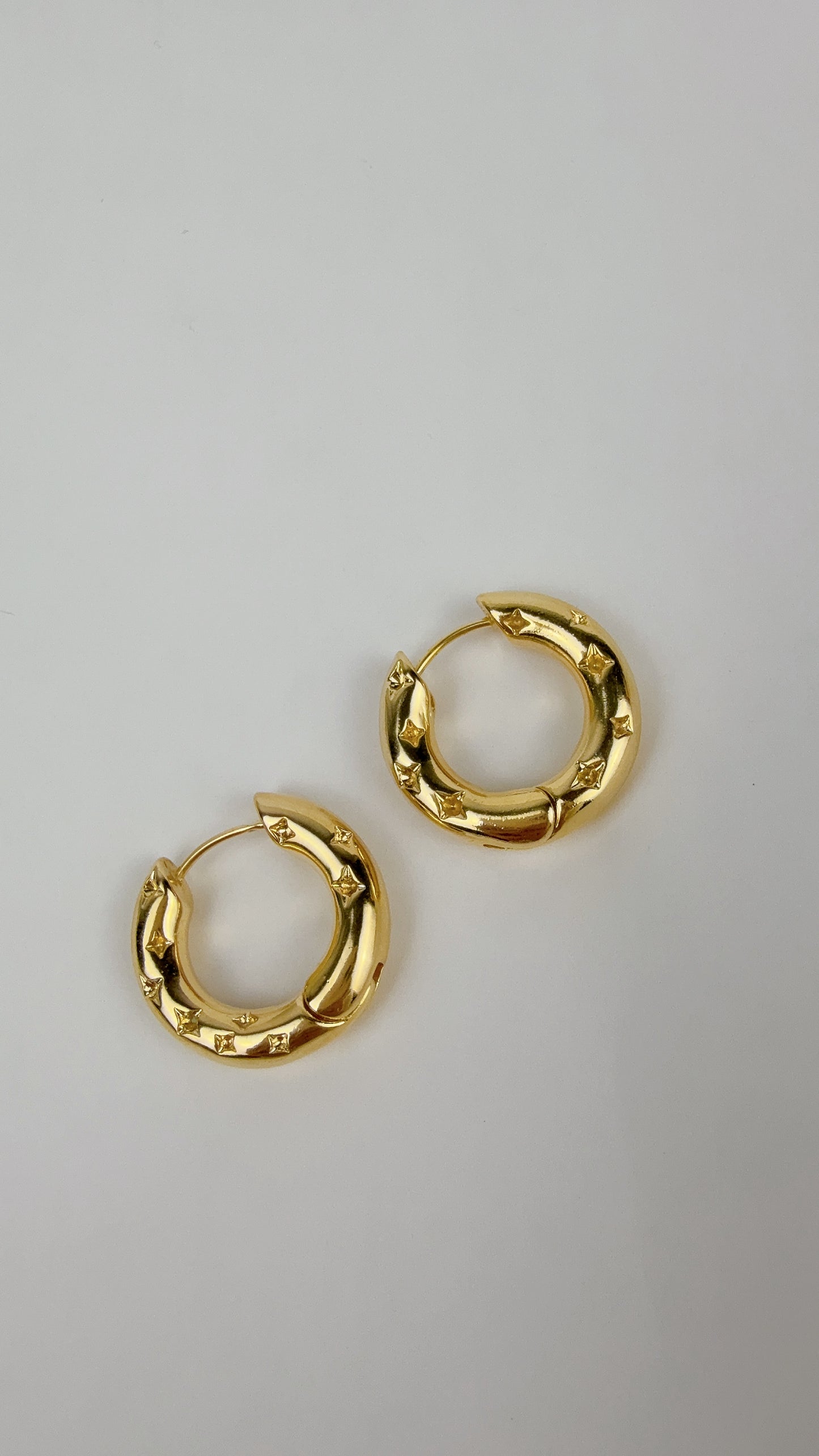 Michelle Textured Hoop Earring